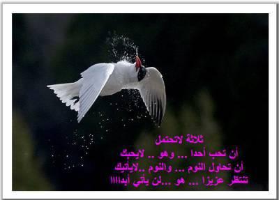 oui wlahila 9ass7in b 3 bihoum